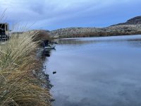 IMG_8390.jpeg