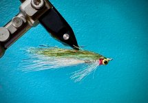 IMG_4223.jpeg