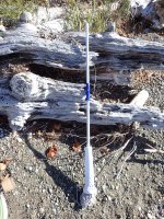 IMG_8933.jpeg