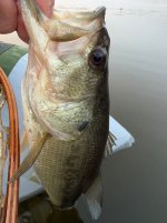 IMG_7254.jpeg IMG_7254.jpeg