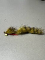 IMG_9210.jpeg