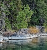 IMG_20261018_162240861_HDR~3.jpg