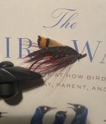 IMG_6409.jpeg