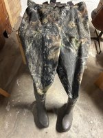 IMG_1788.jpeg