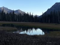 IMG_1980.jpeg
