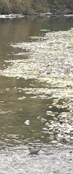 IMG_0588.jpeg IMG_0588.jpeg