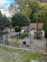 IMG_0496.jpeg