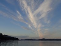 IMG_8954.jpeg
