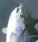 IMG_8969.jpeg
