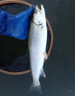 IMG_8967.jpeg