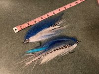 IMG_7880.jpeg
