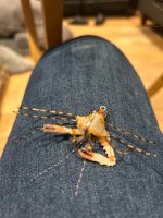 IMG_3524.jpeg