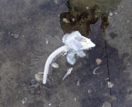 IMG_8956.jpeg