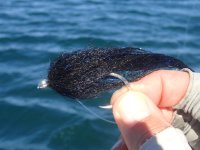 Day1-32.jpg