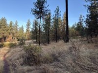 IMG_4634.jpeg