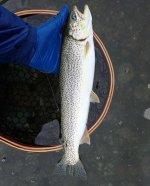 IMG_9001.jpeg