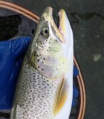 IMG_8992.jpeg