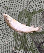 IMG_4234.jpeg