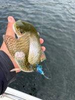IMG_4235.jpeg