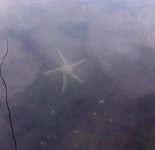 IMG_4238.jpeg
