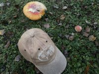 IMG_0601.jpeg