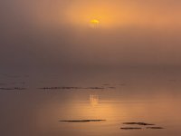 IMG_7460.jpeg