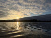 IMG_7056.jpeg