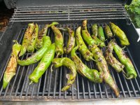 IMG_7887.jpeg