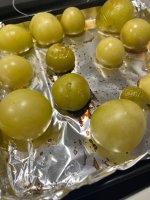 IMG_7888.jpeg