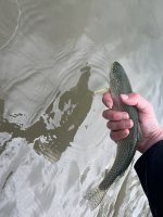 IMG_6996.jpeg