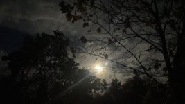 IMG_0610.jpeg