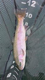 20261019_142453.jpg 20261019_142453.jpg