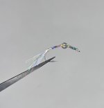 IMG_5818.jpeg