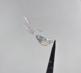 IMG_5810.jpeg