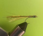 IMG_6185.jpeg