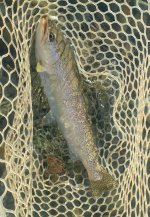 IMG_6164.jpeg
