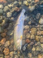 IMG_6166.jpeg