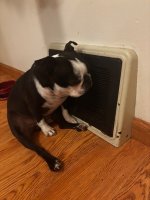 IMG_4416.jpeg