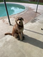 IMG_1577.jpeg