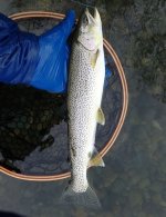 IMG_9044.jpeg