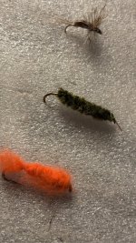 IMG_0152.jpeg
