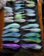 20261030_100347.jpg