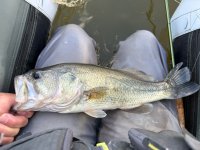 IMG_8057.jpeg