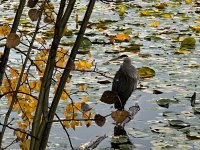 IMG_9064.jpeg