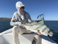 Day1-30 Roosterfish jpeg.jpeg Day1-30 Roosterfish jpeg.jpeg