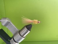 IMG_6199.jpeg