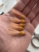 IMG_6200.jpeg