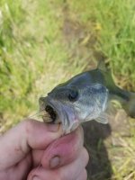 20220522_133243.jpg 20220522_133243.jpg
