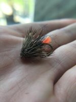 IMG_0261.JPG IMG_0261.JPG