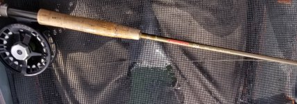 20220524_rod.jpg